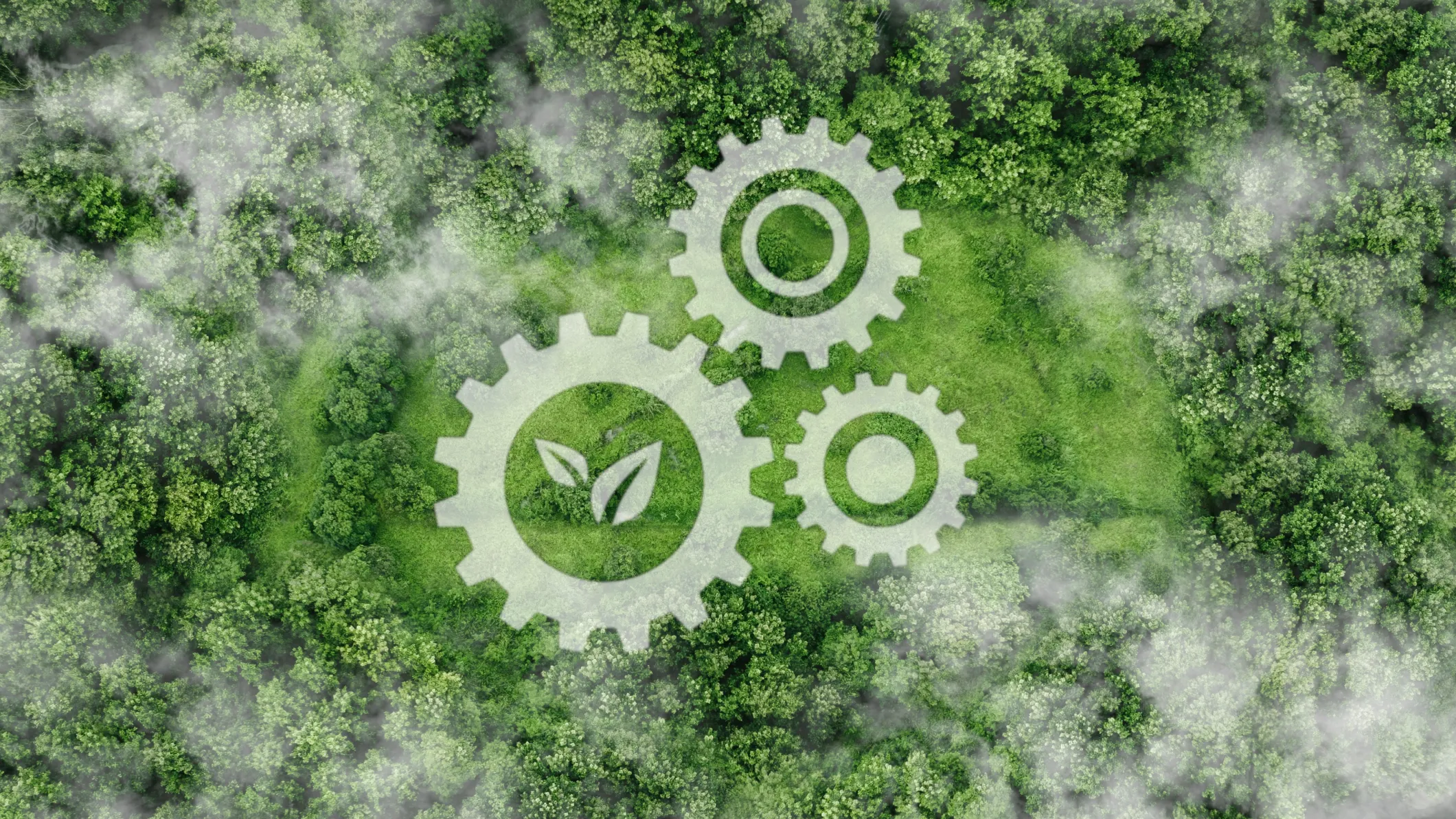 navigating-new-esg-regulations-implications-for-the-public-sector
