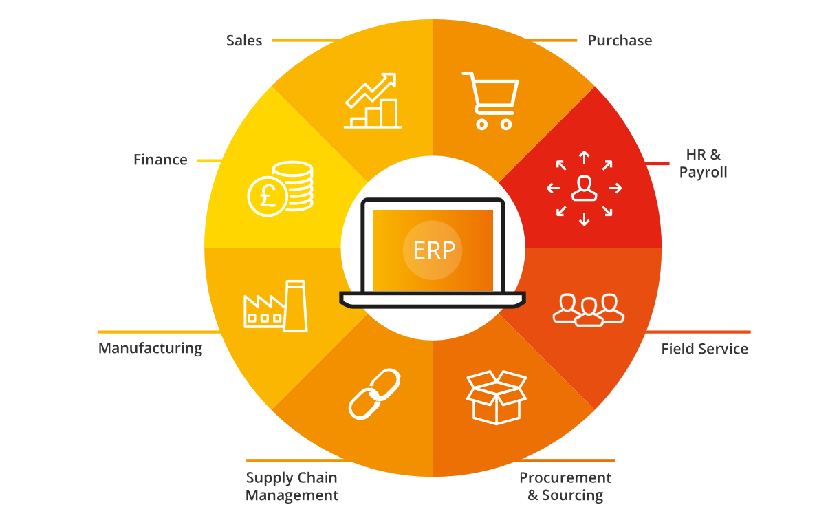 ERP Q&A with market expert David James